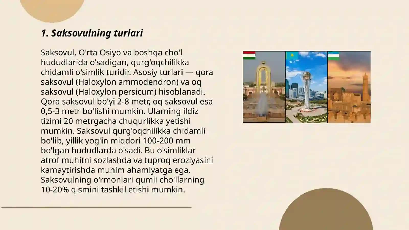 Markaziy Osiyo saksavulzorlari 3
