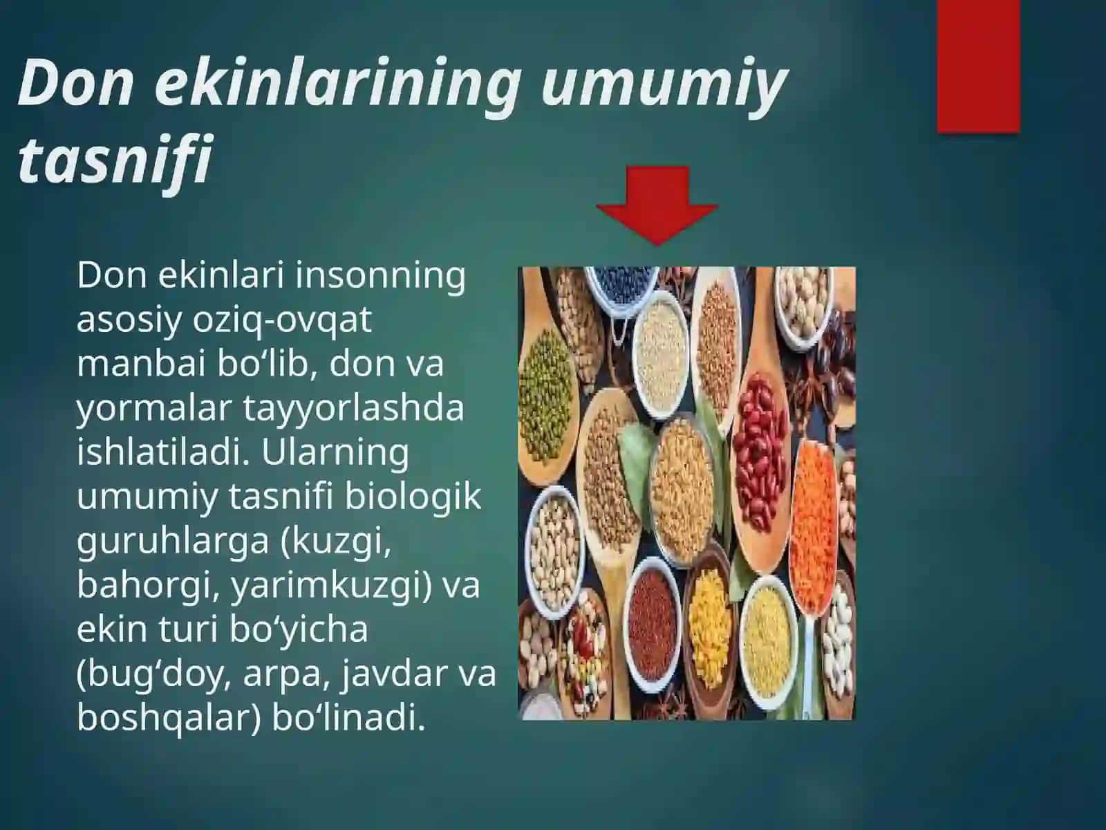 Donekinlar ilassdifikatsiyasi 3
