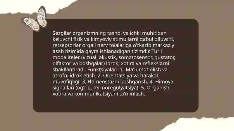 Sezgilar 3