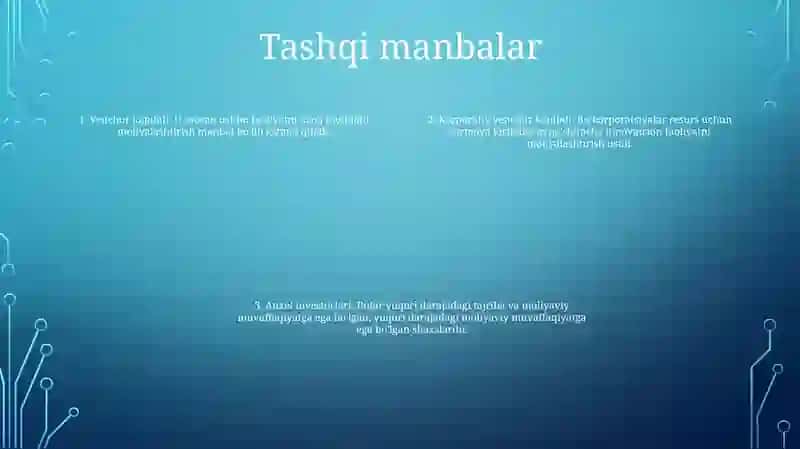Инноватсион Фаолиятни Молиялаштириш Манбалари 3