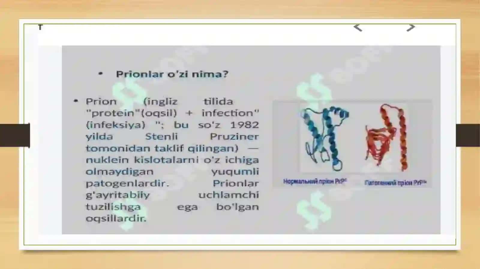 Prion kasalliklari 3