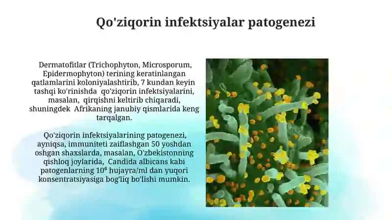 Qo'ziqorin infektsiyalar patogenezi 3