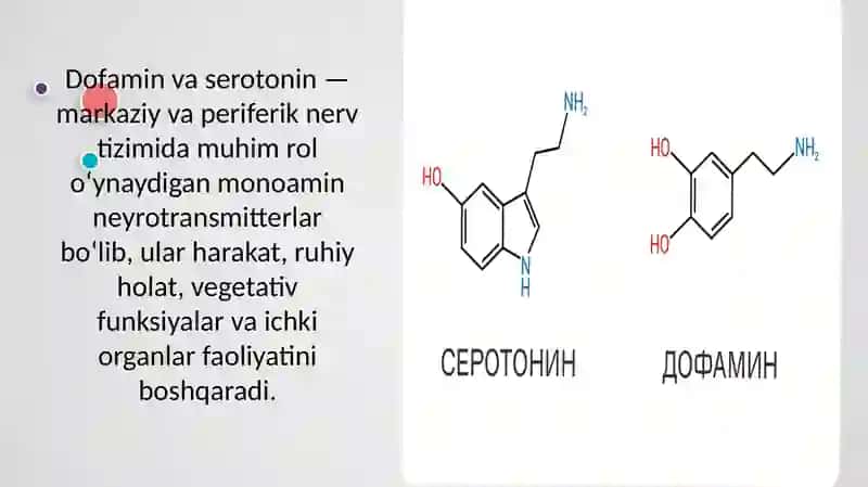 Dofamin va Serotonin Farmakologiyasi 3
