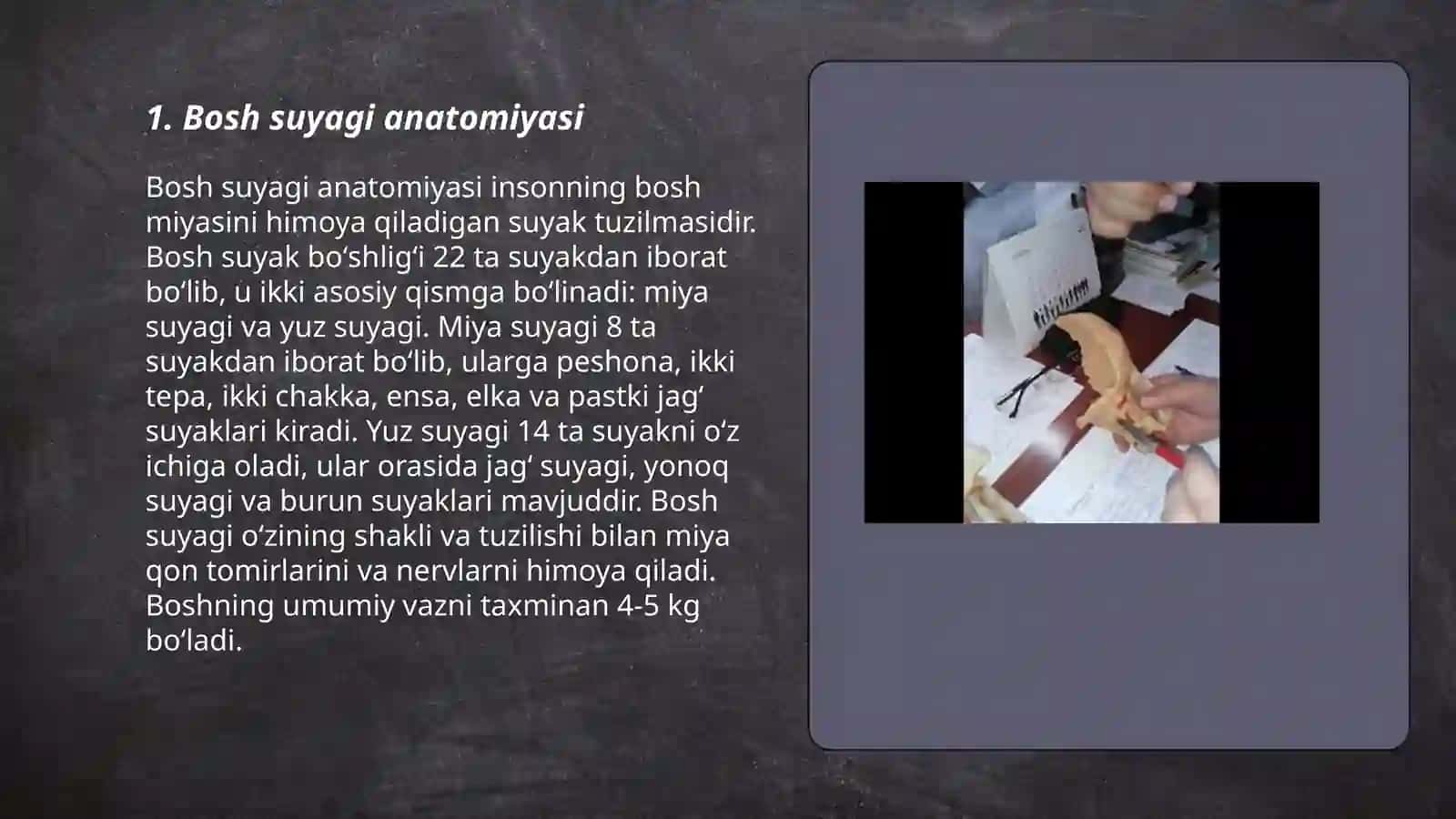 Bosh Suyagi anatomiyasi 3
