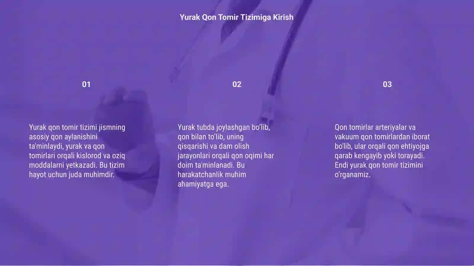 Yurak qon tomir tizimlari 3