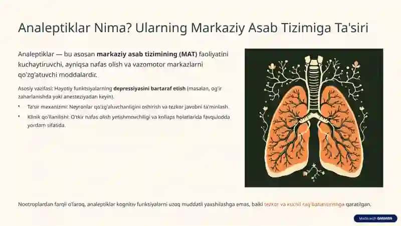 Nootrop Vositalar va Analeptiklar 3