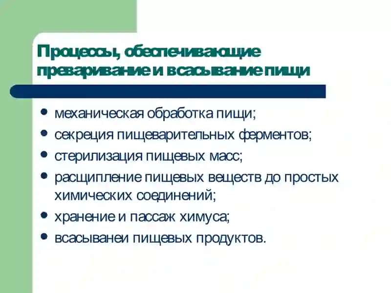 Патофизиология системы пищеварения 3