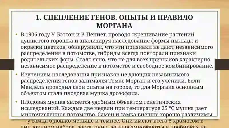 Основные закономерности сцепленного наследования 3