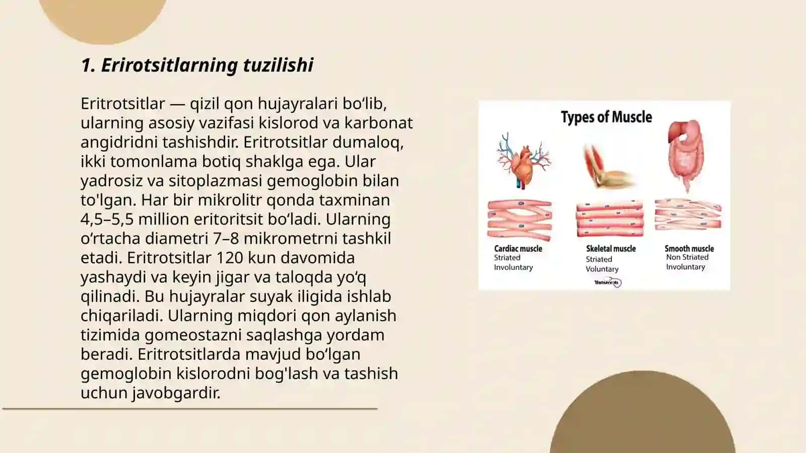 Eritrotsitlar, turlari funksiyalari 3