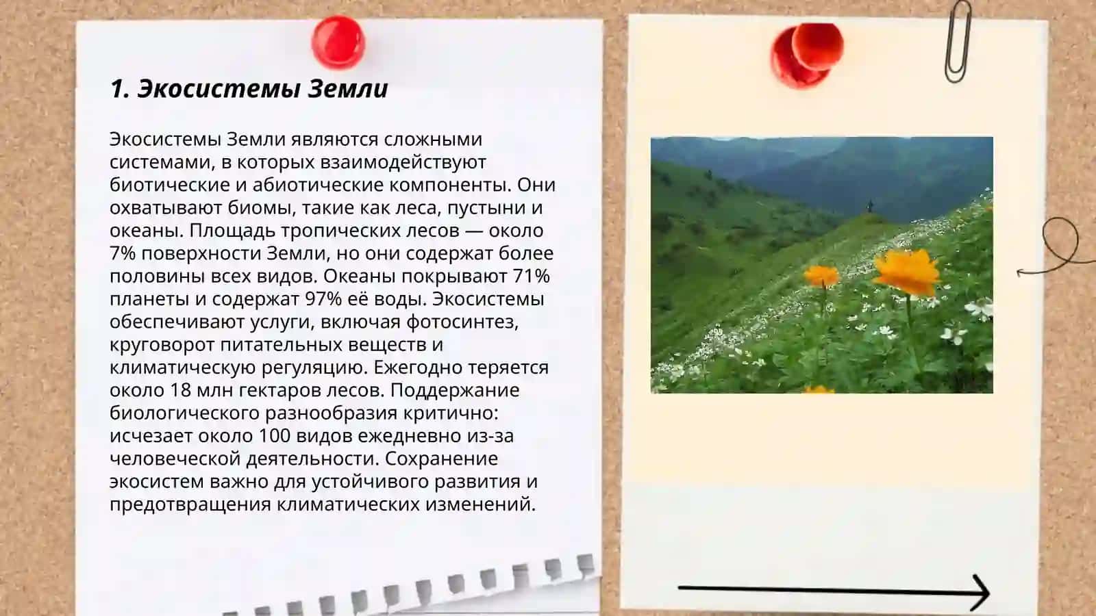 Экосистемы Земли 3