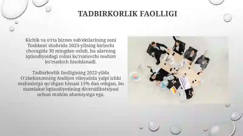 Tadbirkorlik Faolligi va Uning Turlari 3
