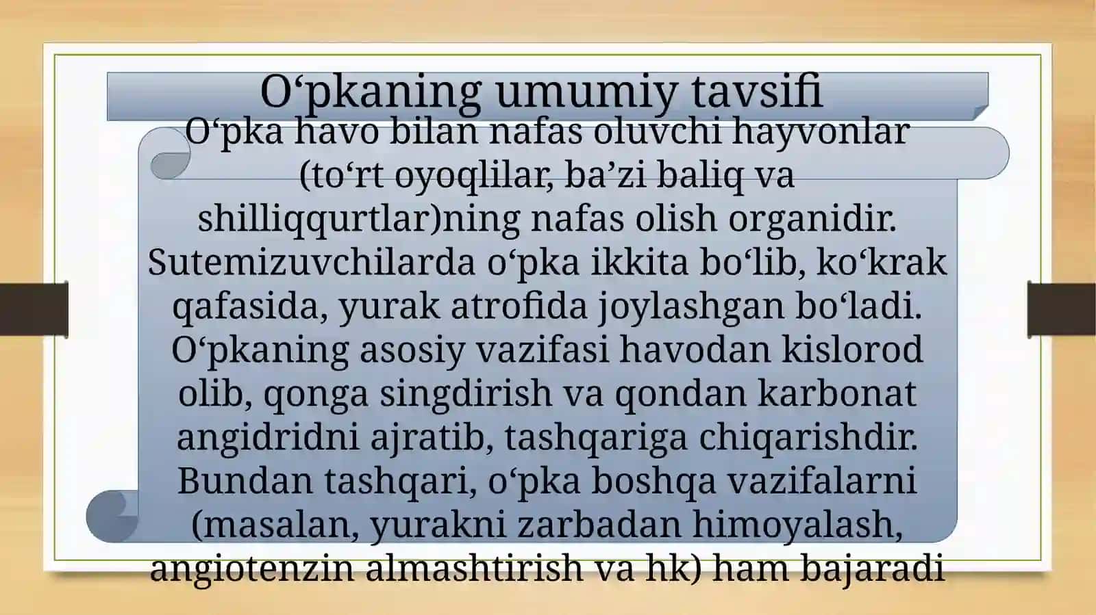 Oʻpkaauskultatsiyasi 3
