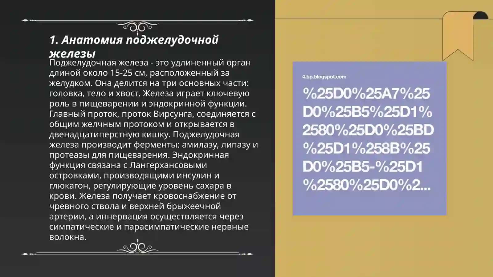Поджелудочная железа 3