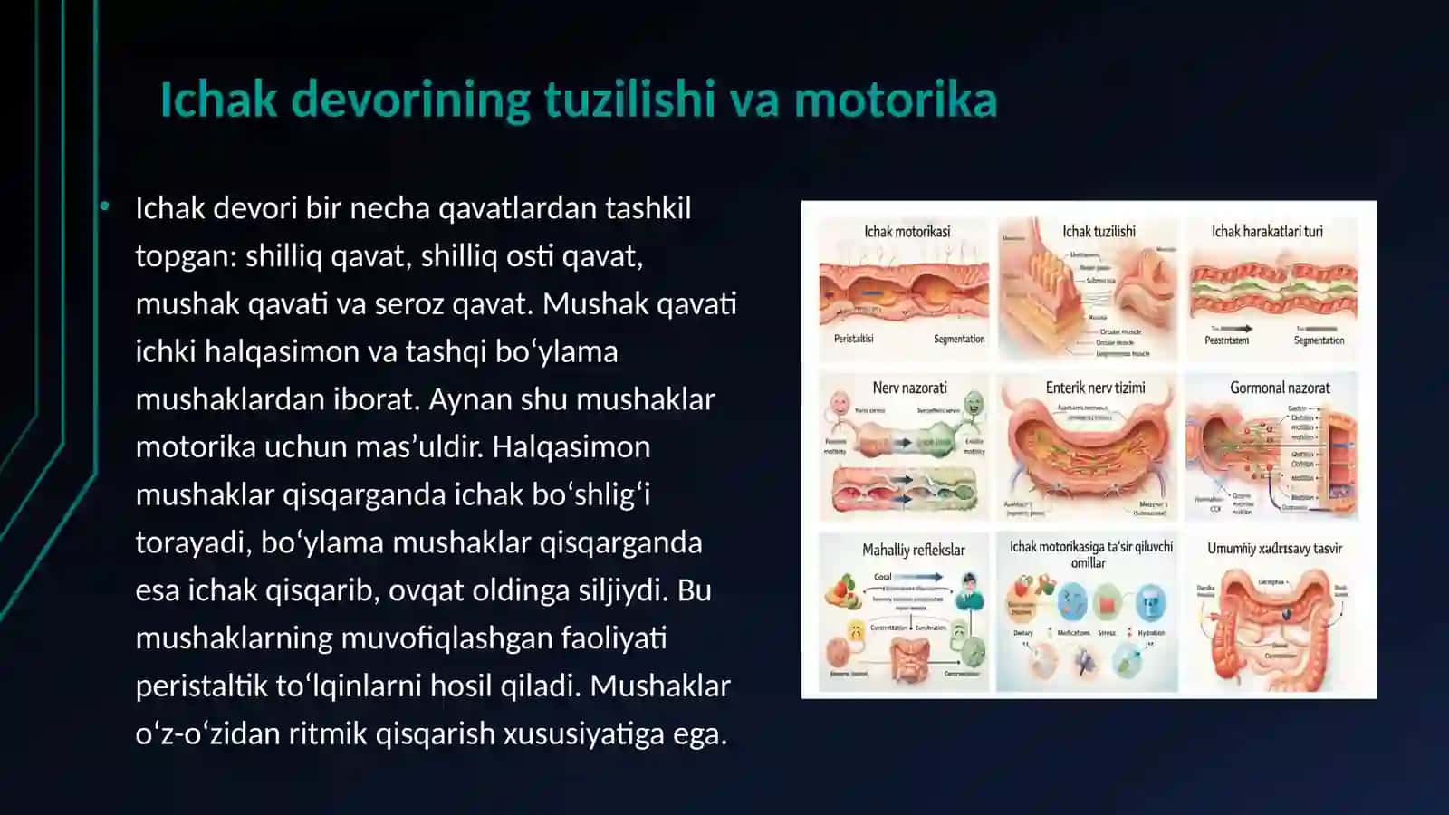 ICHAK MOTORIKASI VA UNING FIZIOLOGIK NAZORATI 3