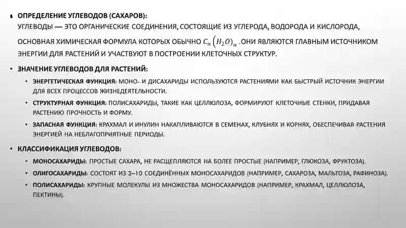 слайд,презинтация,slayd 3