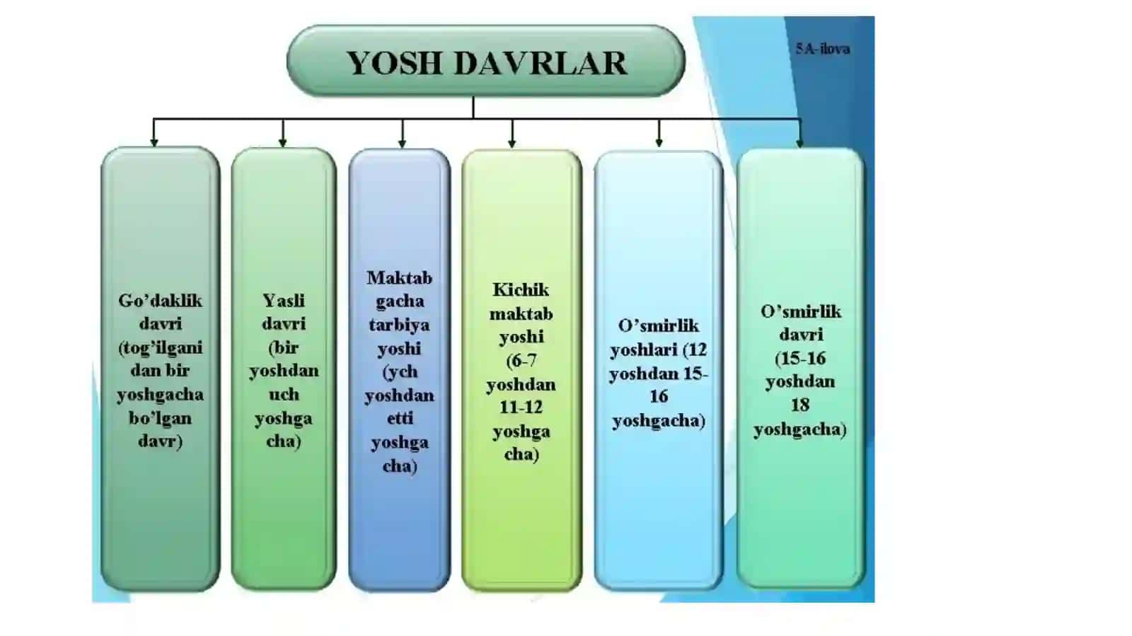 Go’daklik davri 3
