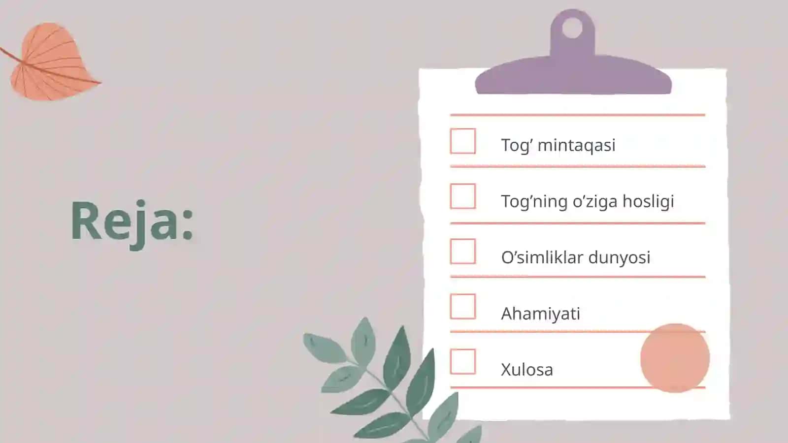 Tog’mintaqasi O’simliklari 3