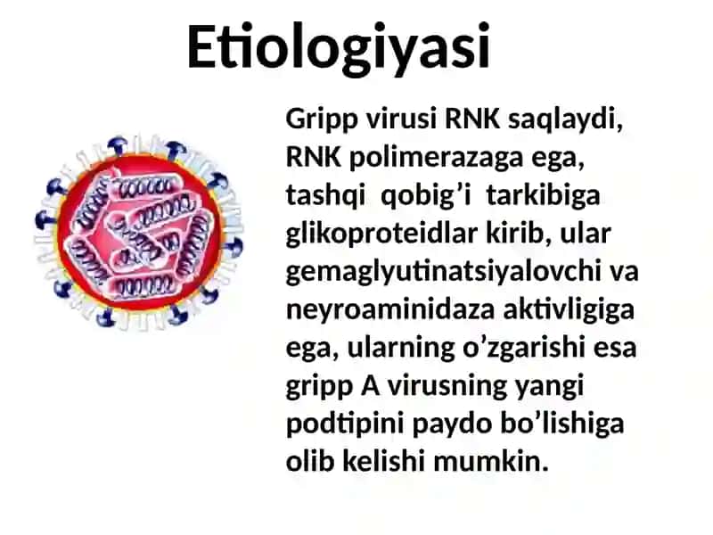 GRIPP,O’RVI,ADENOVIRUSLI INFEKSIYA 3