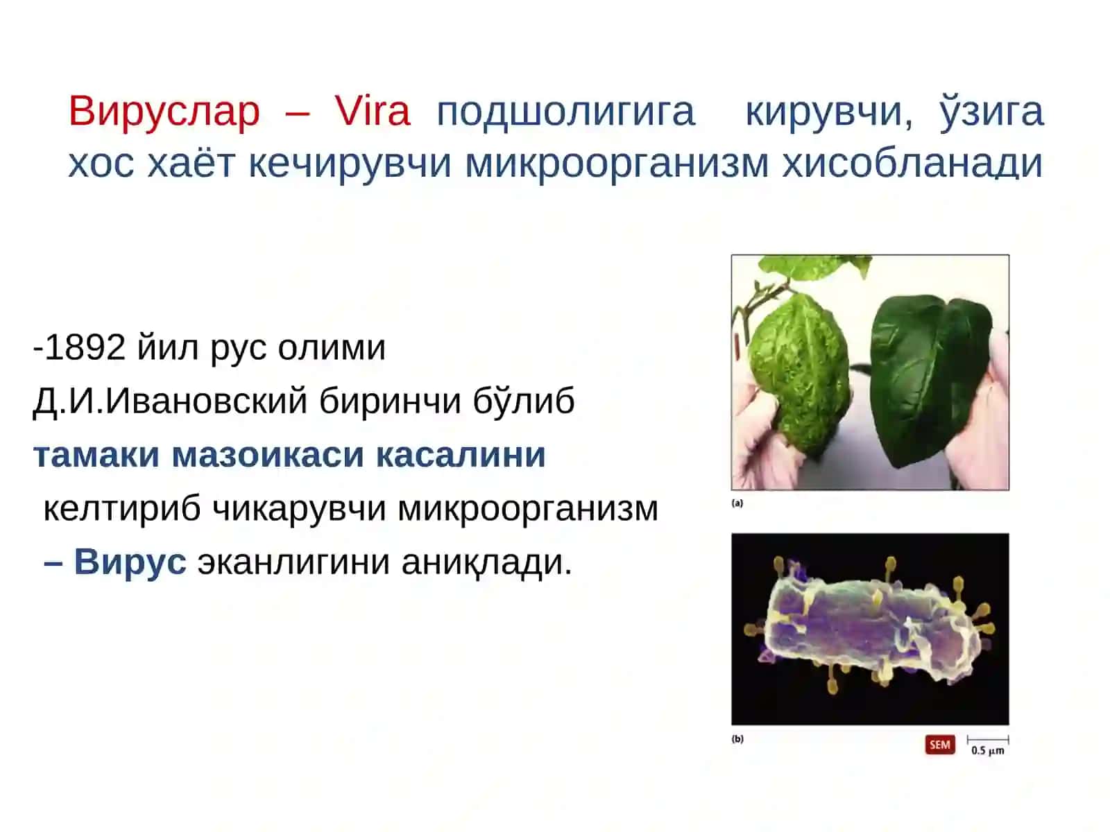 Умумий вирусология 3