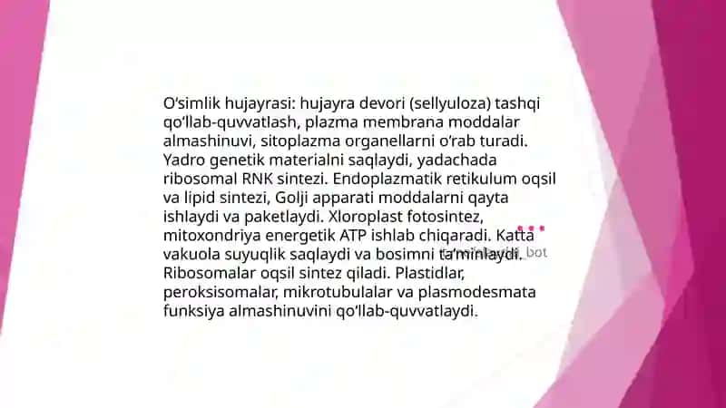 Hayvonot olamining xilma xilligi va tabiatdagi roli 3