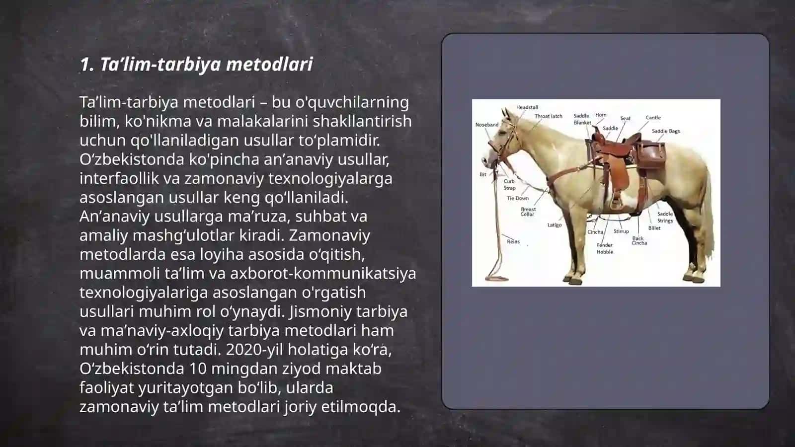 Taʼlim-tarbiya metodlari 3
