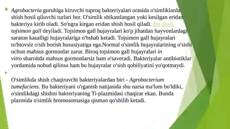 O’simliklarning Agrobakterial Transformatsiyasi 3