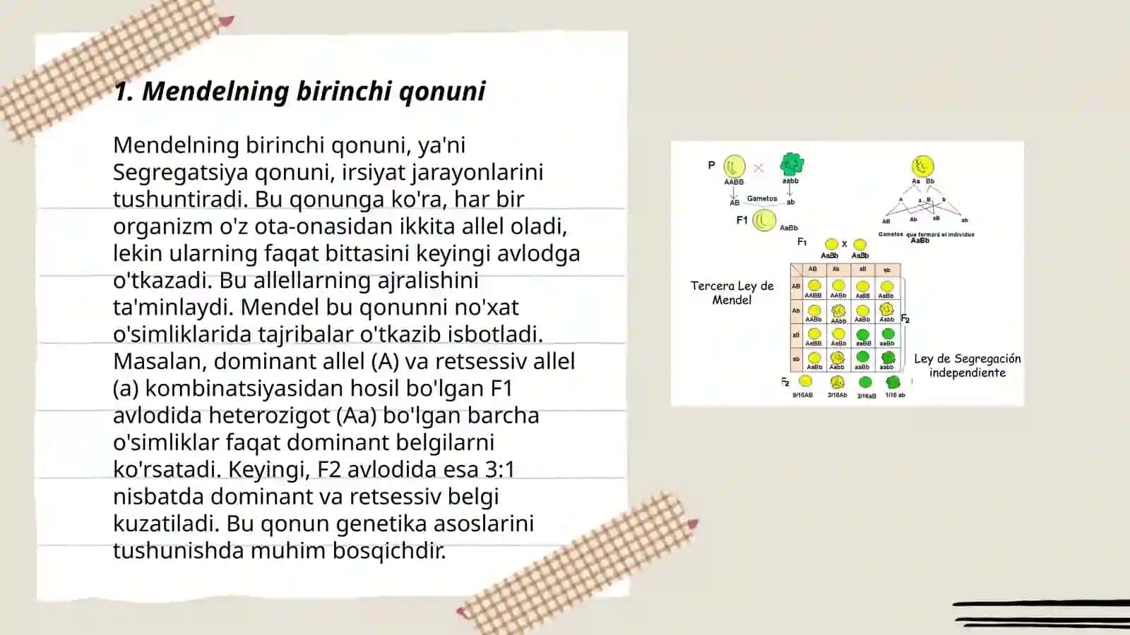 G. Mendel qonuniyatlari 3