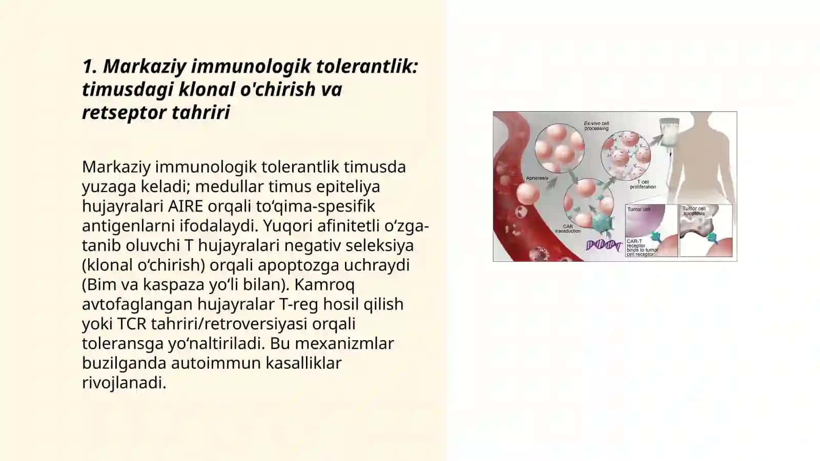 Immunologik tolerantlik nuqsonlari 3