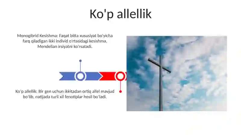 Monogibrid Xoch va Ko'p Allellik 3
