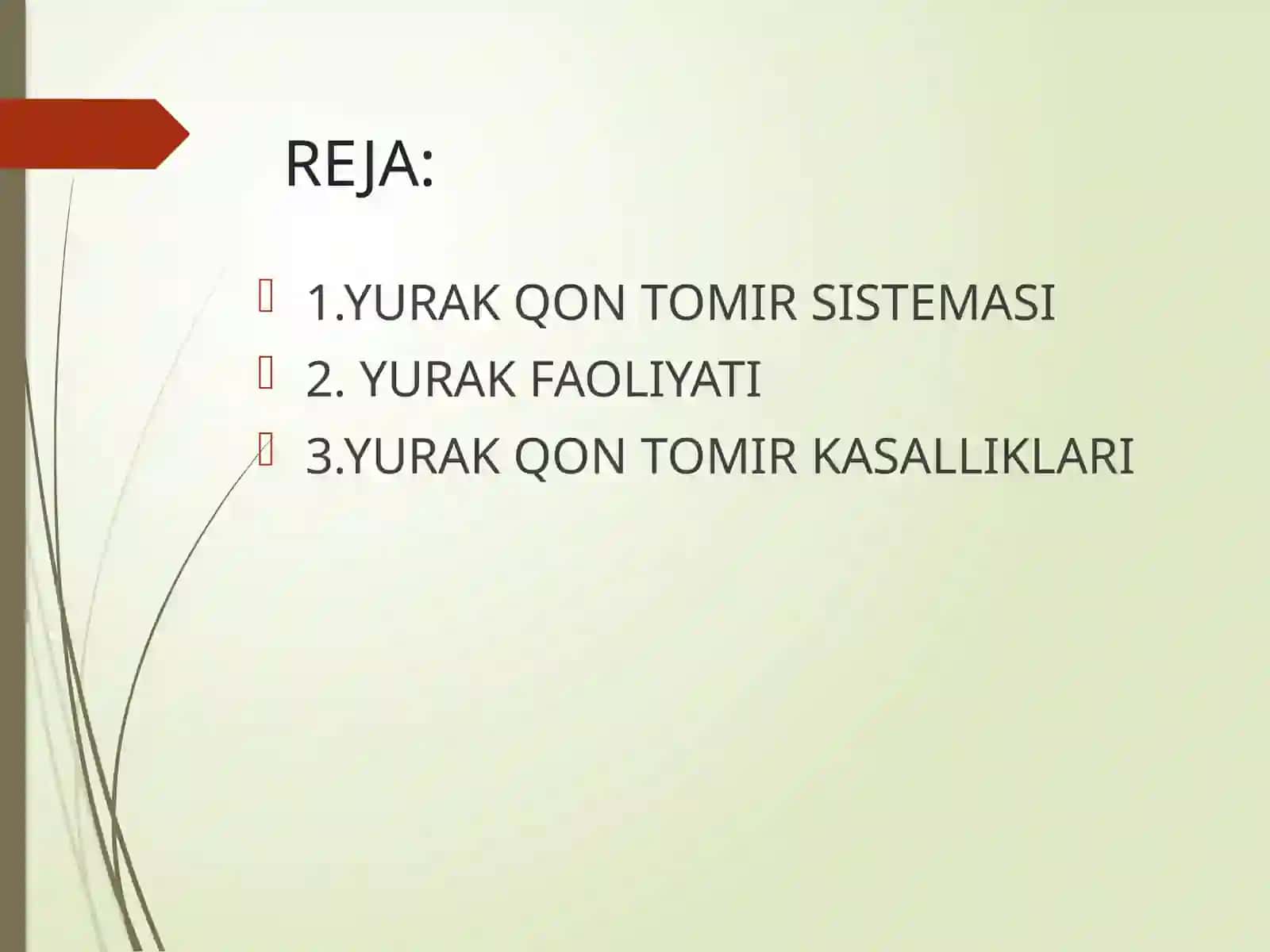 YURAK-QON TOMIR SISTEMASI 3