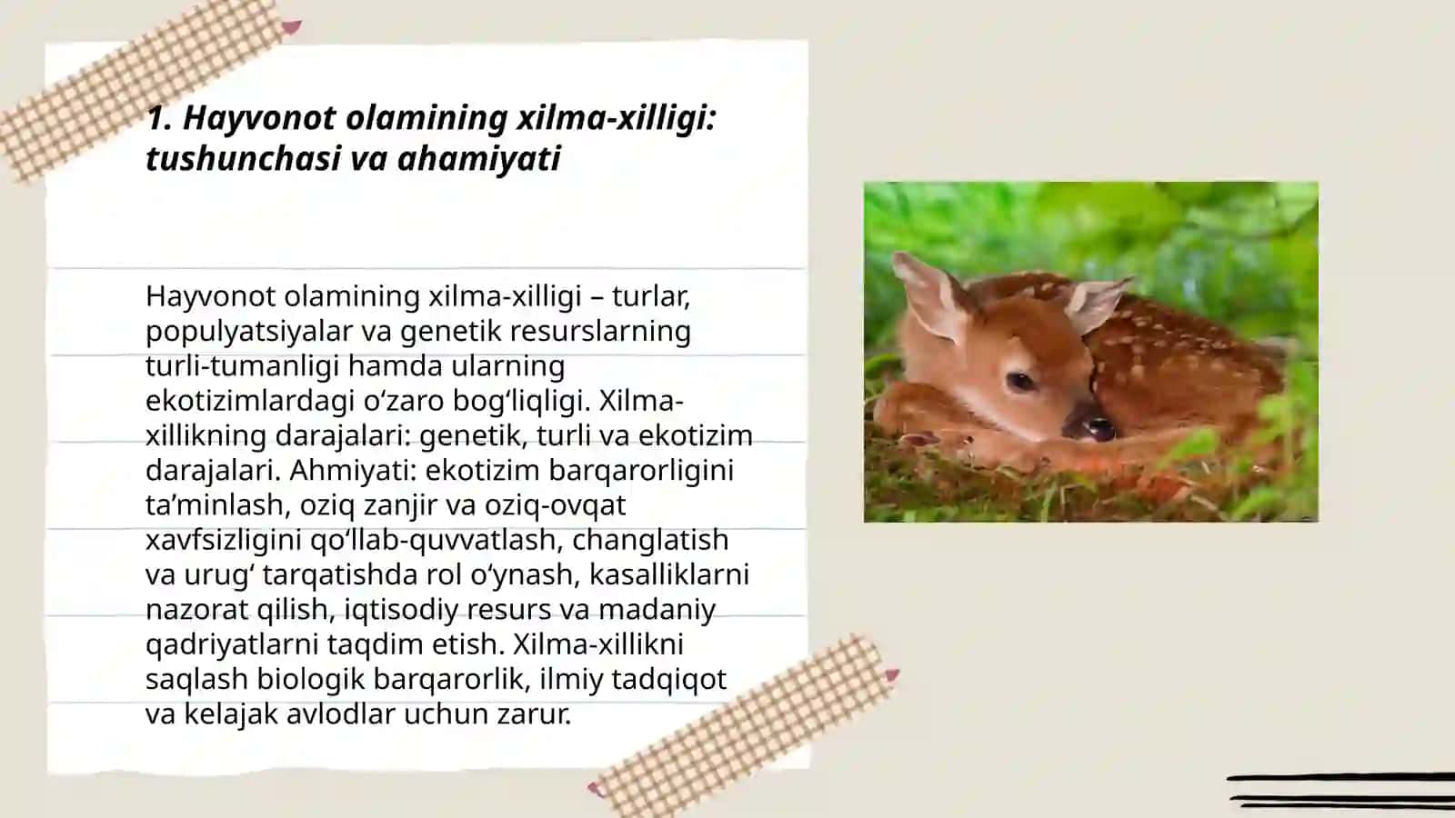 Hayvonot olamining xilma-xilligi 3