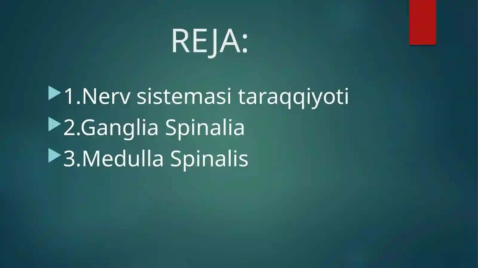 Nervsistemasi 3