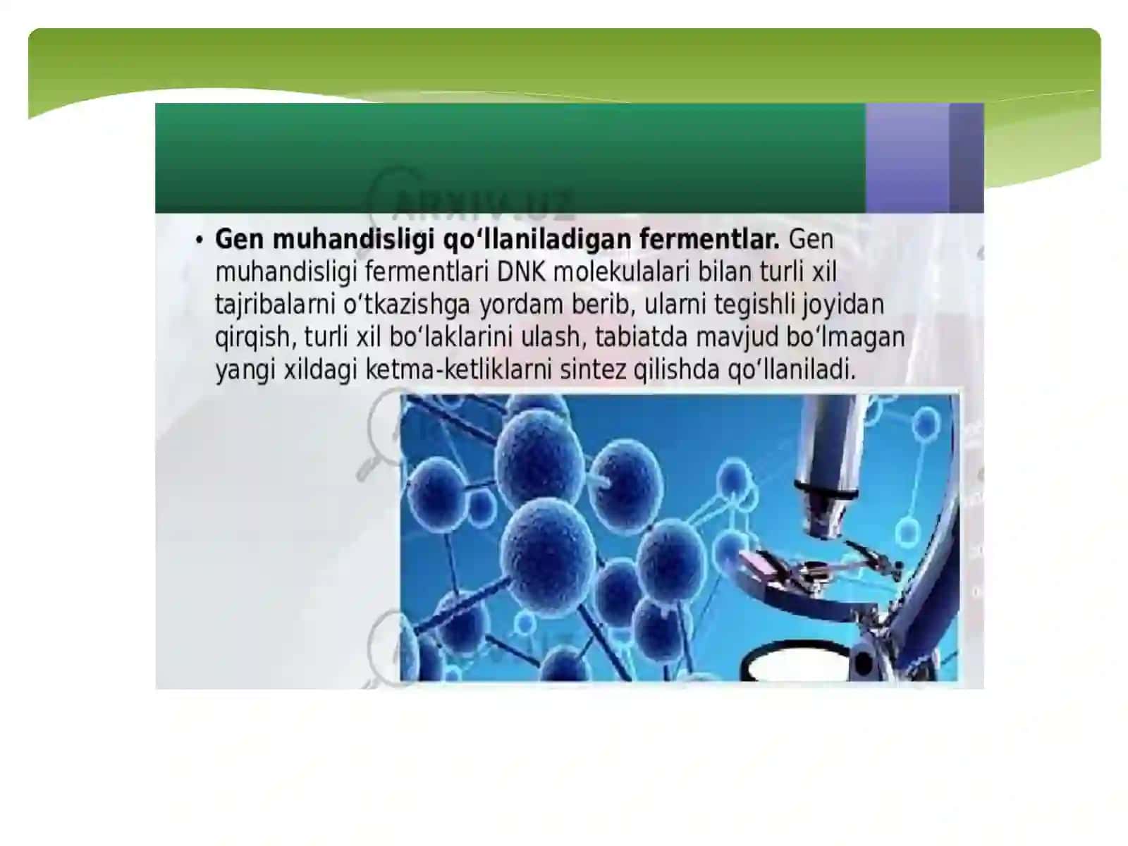 Genmuhandisligida qo'llaniladigan fermentlar 3