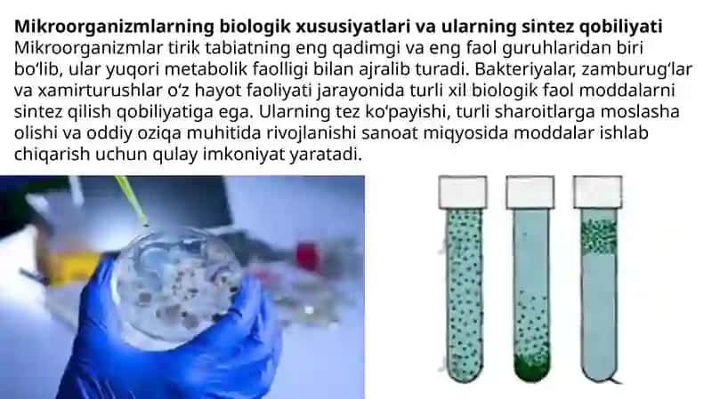 Mikroorganizmlardan zarur moddalar sintezlab olish 3