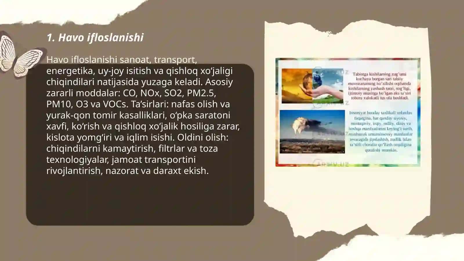Ekalogik muammolar 3