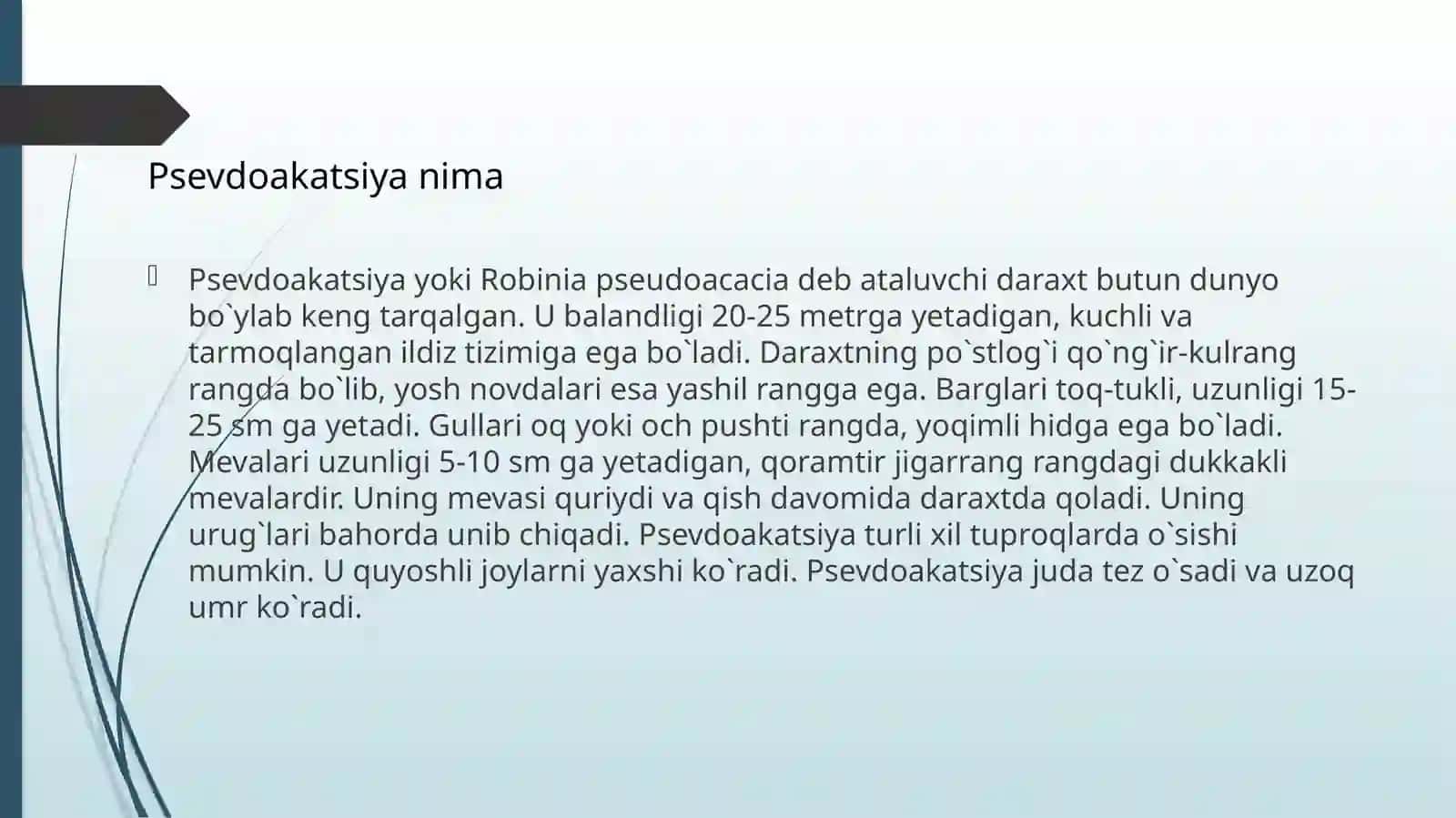 Psevdo akatsiya (Robinia) 3
