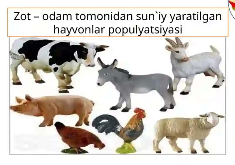 O`simlik va hayvonlar seleksiyasi 3