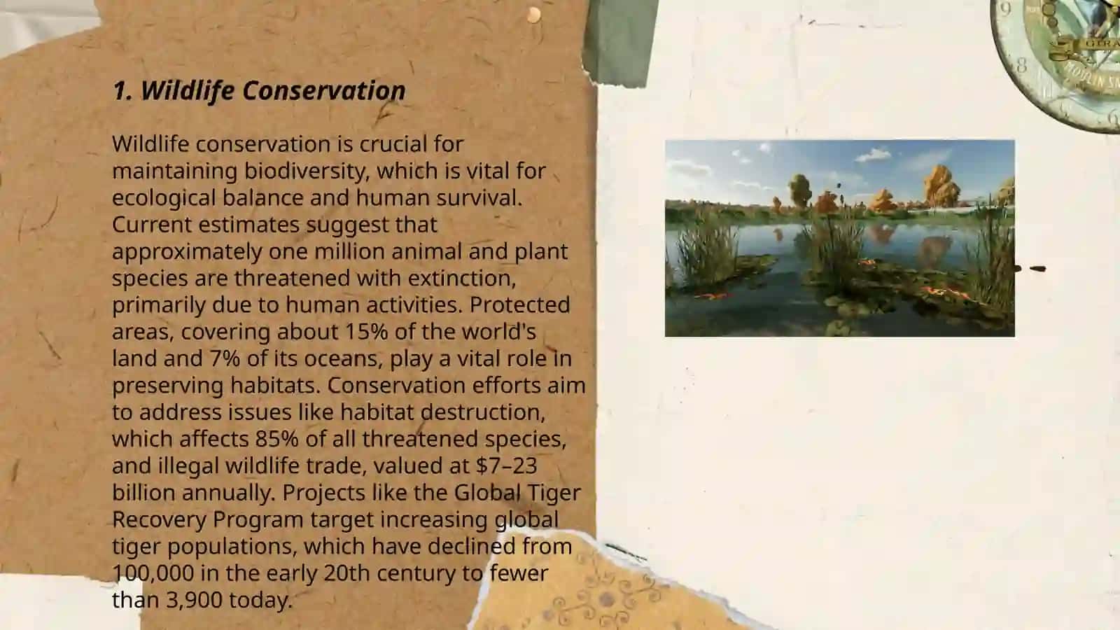 Wildlife Conservation 3