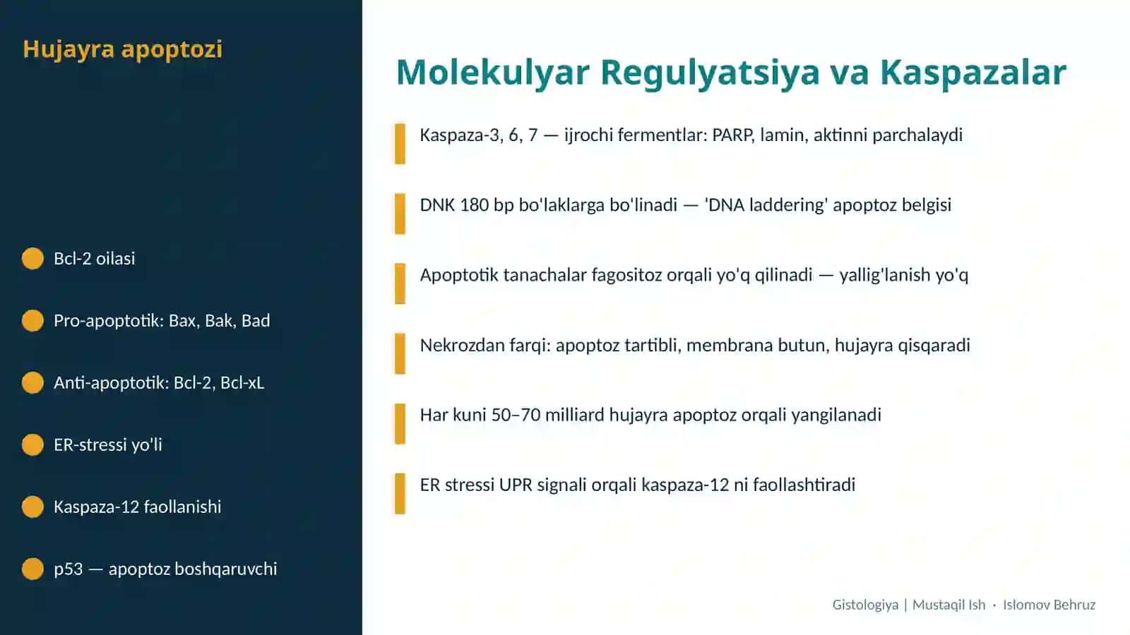 Hujayra apoptozi va uning biologik ahamiyati 3