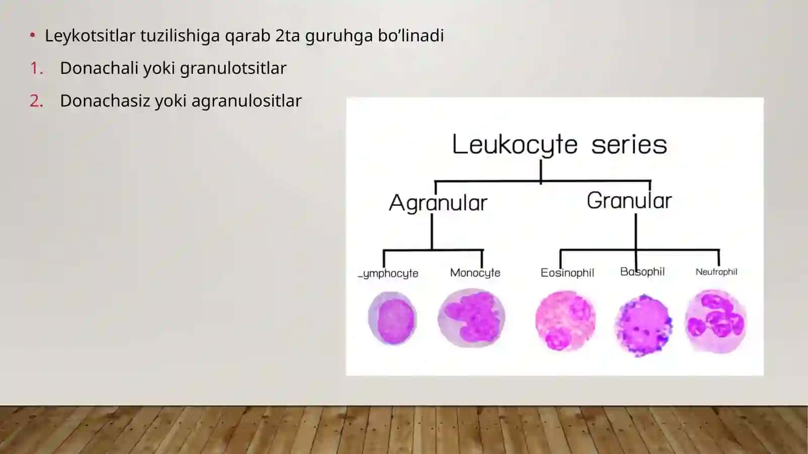 Leykotsitlar metobolizmi 3