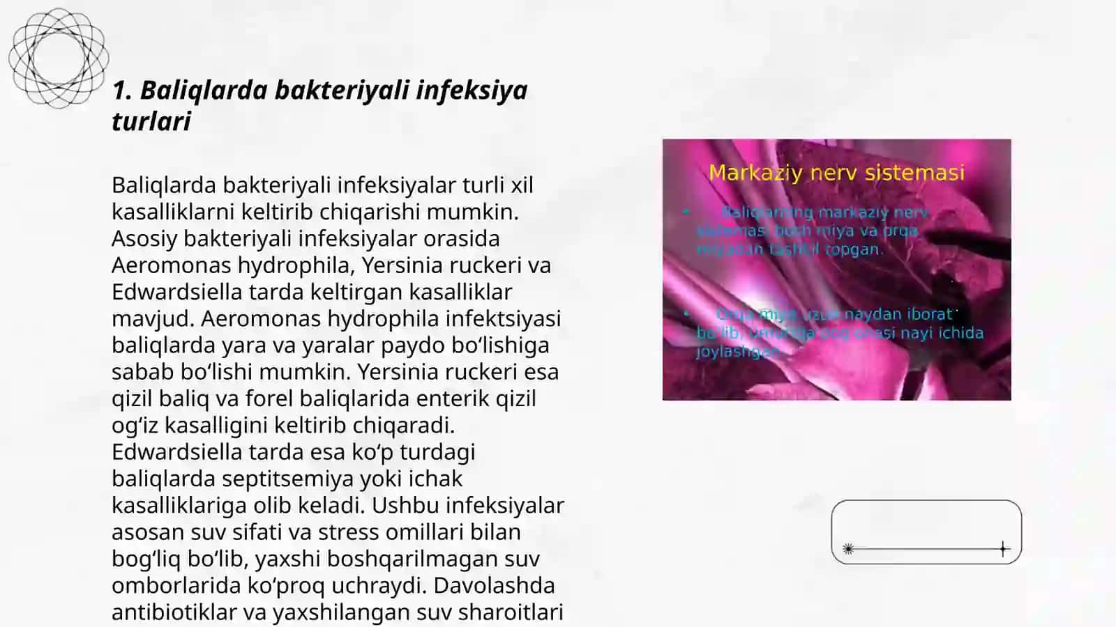 Baliqlarning bakteriyali kasalliklari 3