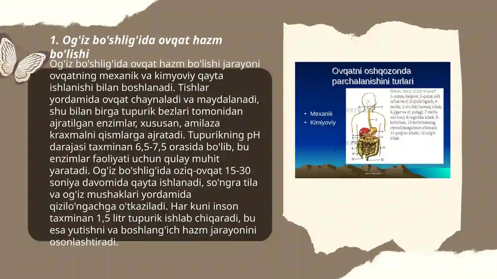 Ovqat hazm qilish sistemasi 3