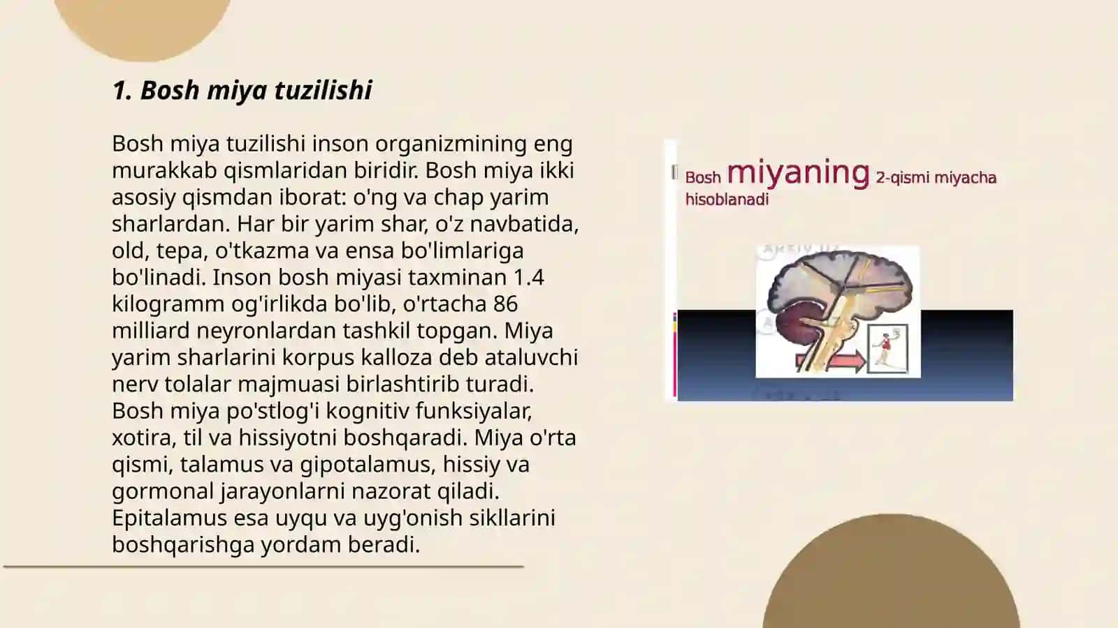 Bosh Miya Nervlari 3