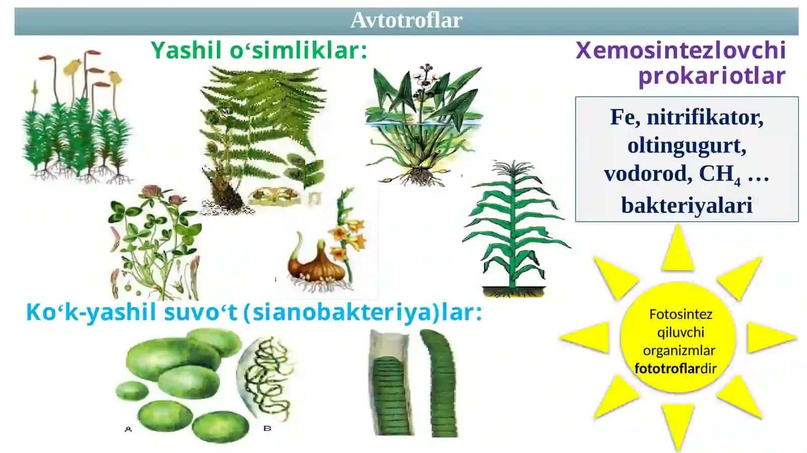 BIOLOGIYA 9 - 10 3