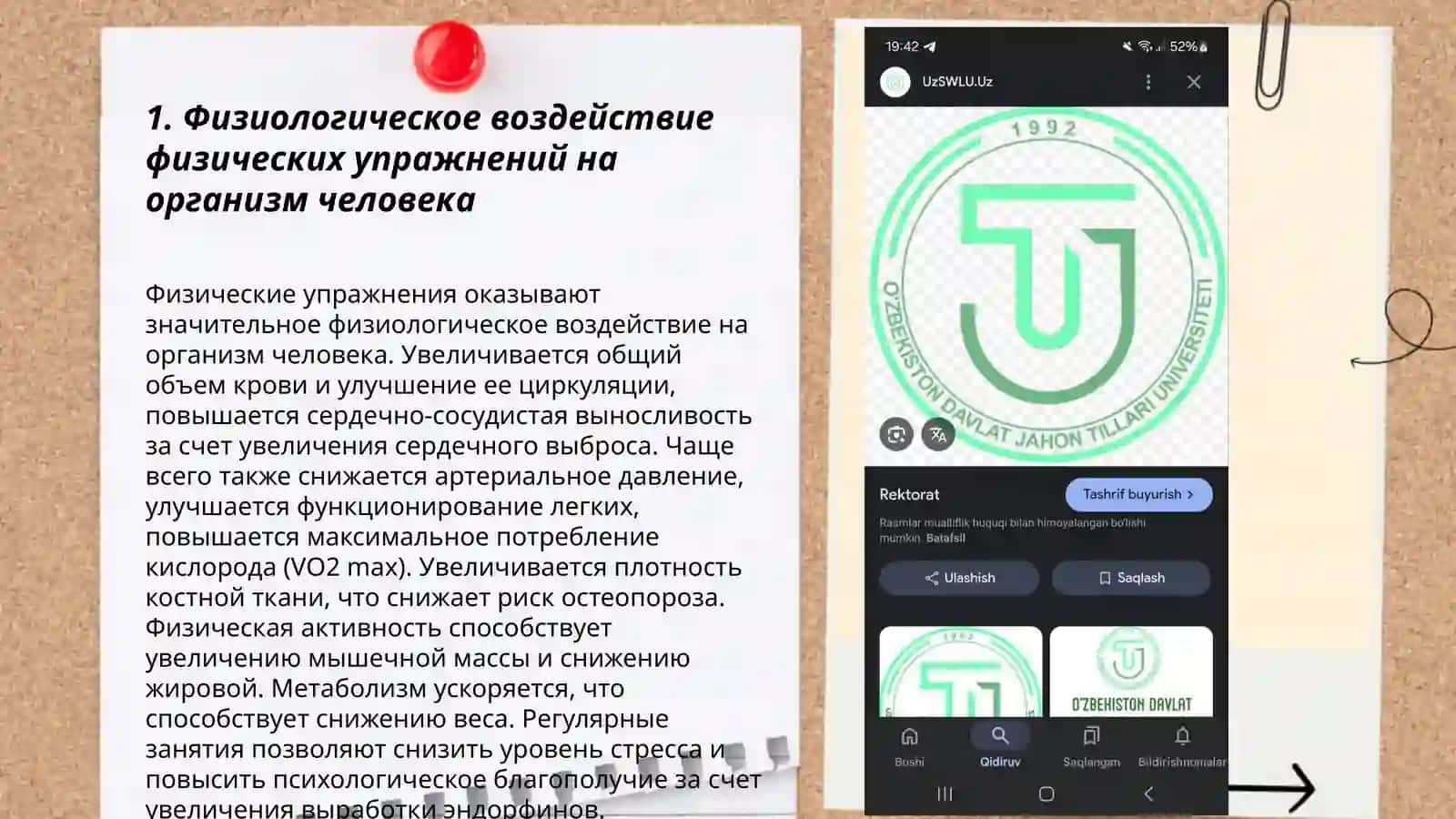 Jismoniy mashqlarning odam organizmiga ta'siri 3