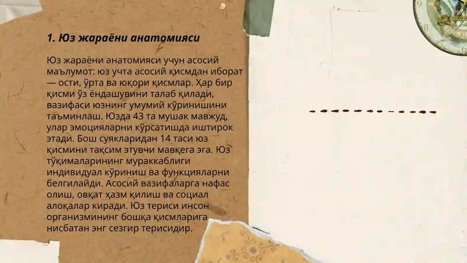 Юз жараёни анатомияси 3