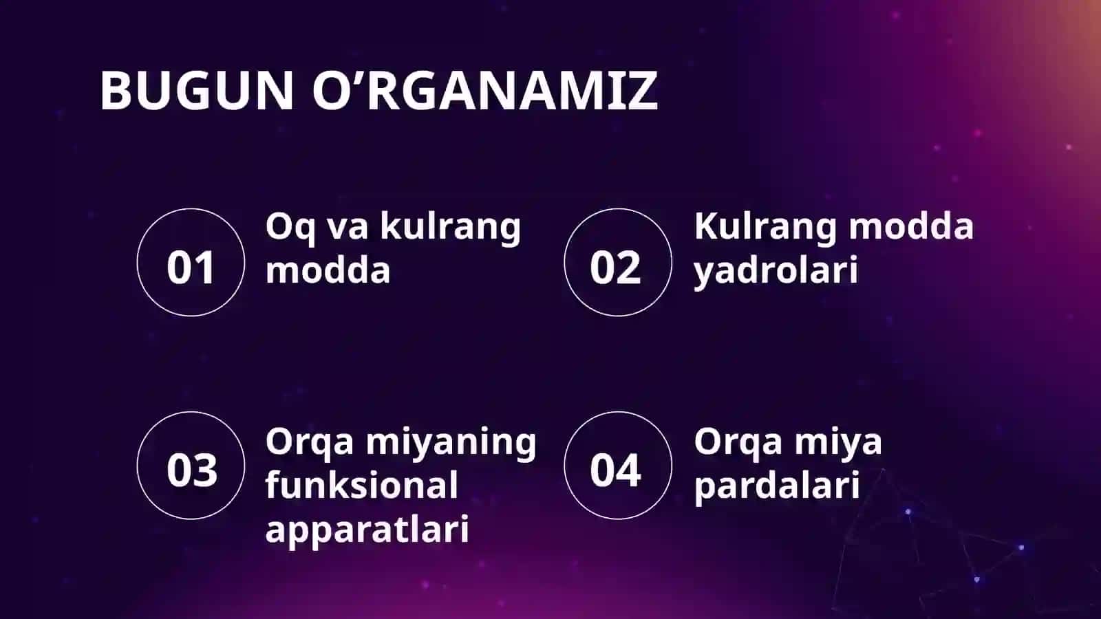 Orqamiyaningichkituzilishi 3