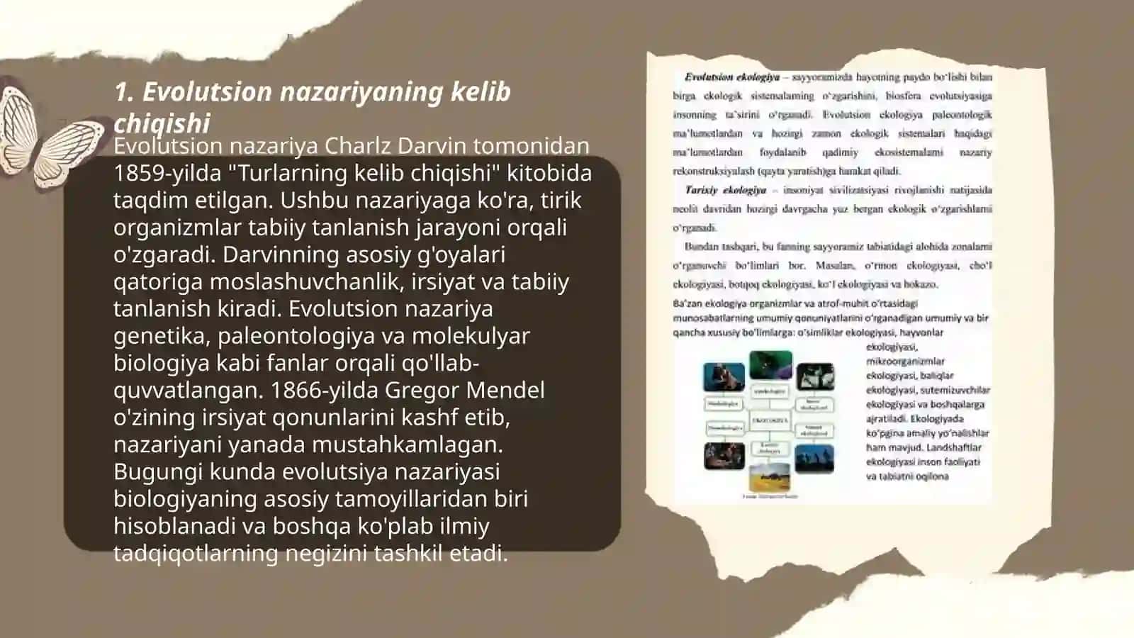 Evolutsion ta’limot va jamiyat 3