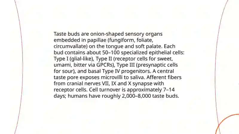 Taste and smell 3