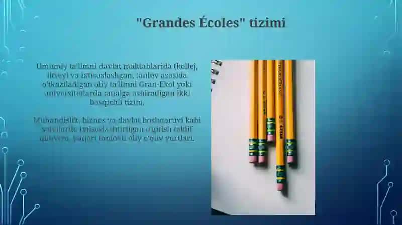 Fransiya talim tizimining "Dual bosqichi" xususiyatlari 3